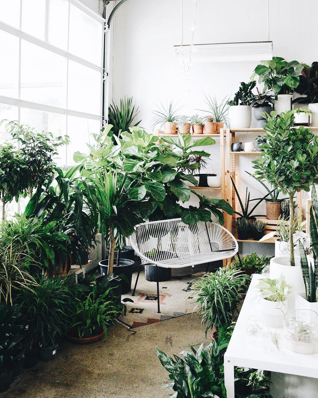 30 of the Cutest Plant Shops Around the World